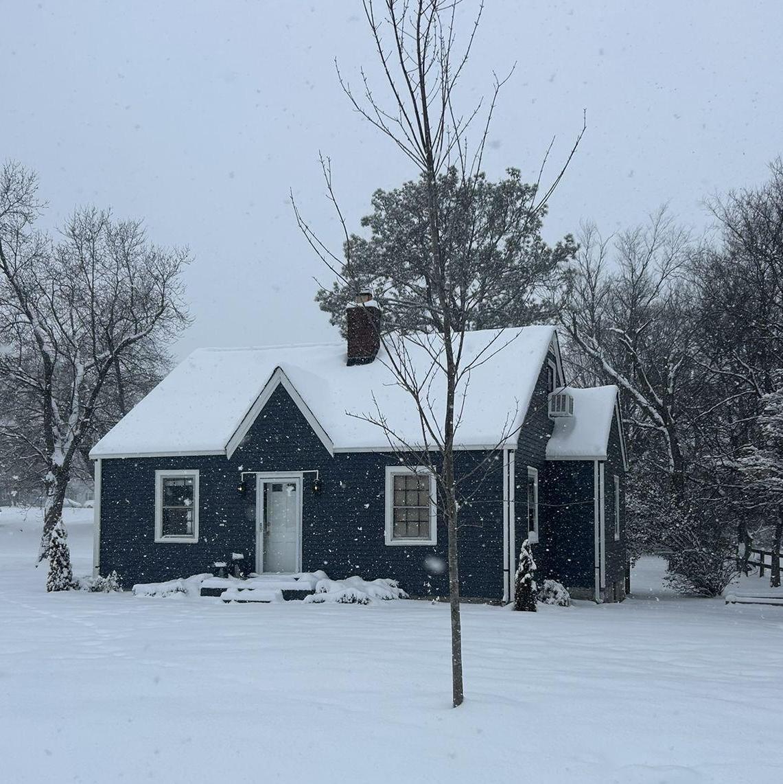 Snow in Nashville