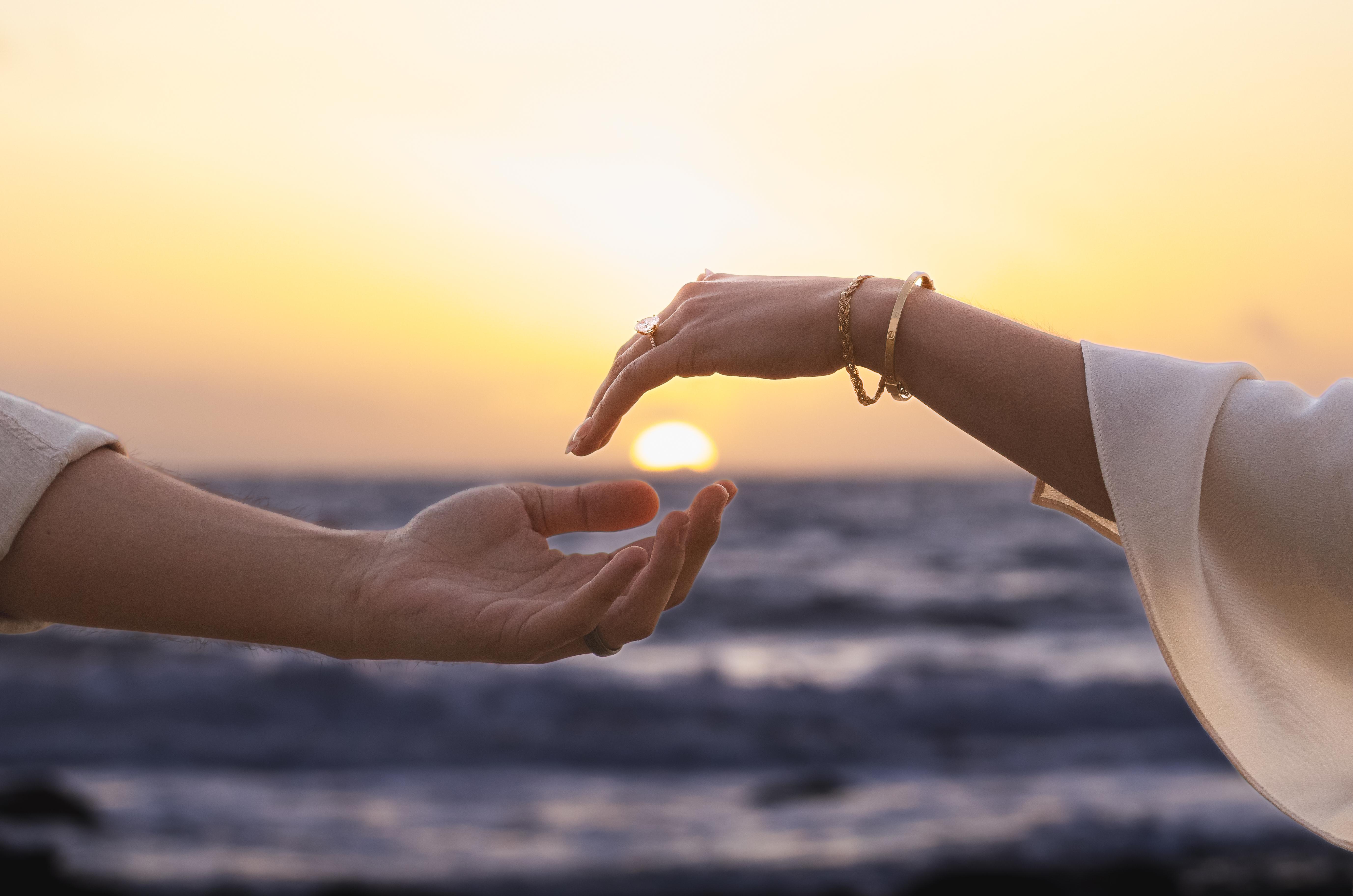 The Wedding Website of Amjad Al-Omar and Yesmeen Shennawi