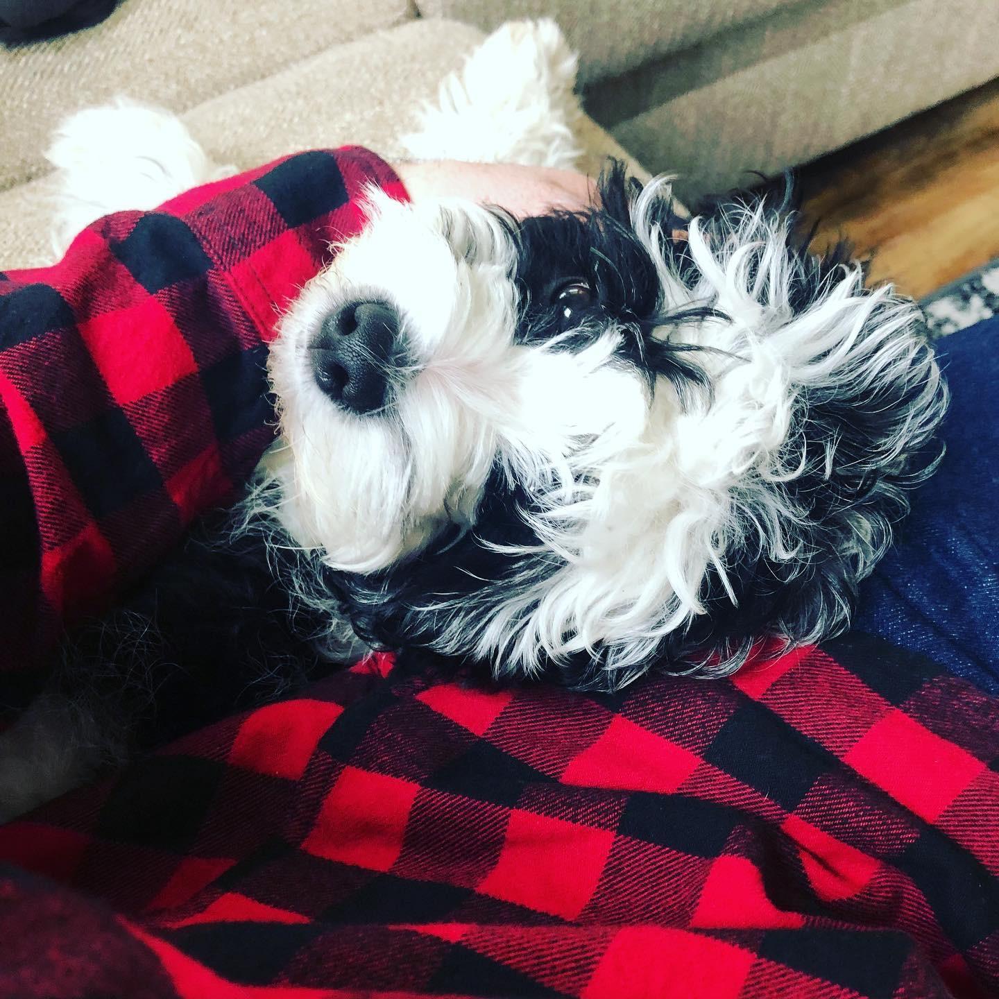 Our baby!