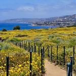 Dana Point Headlands Conservation Area