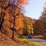 Enjoy a scenic drive on the famous Blue Ridge Parkway