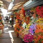 Parque De Las Flores