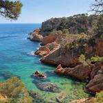 Beaches & Coves
