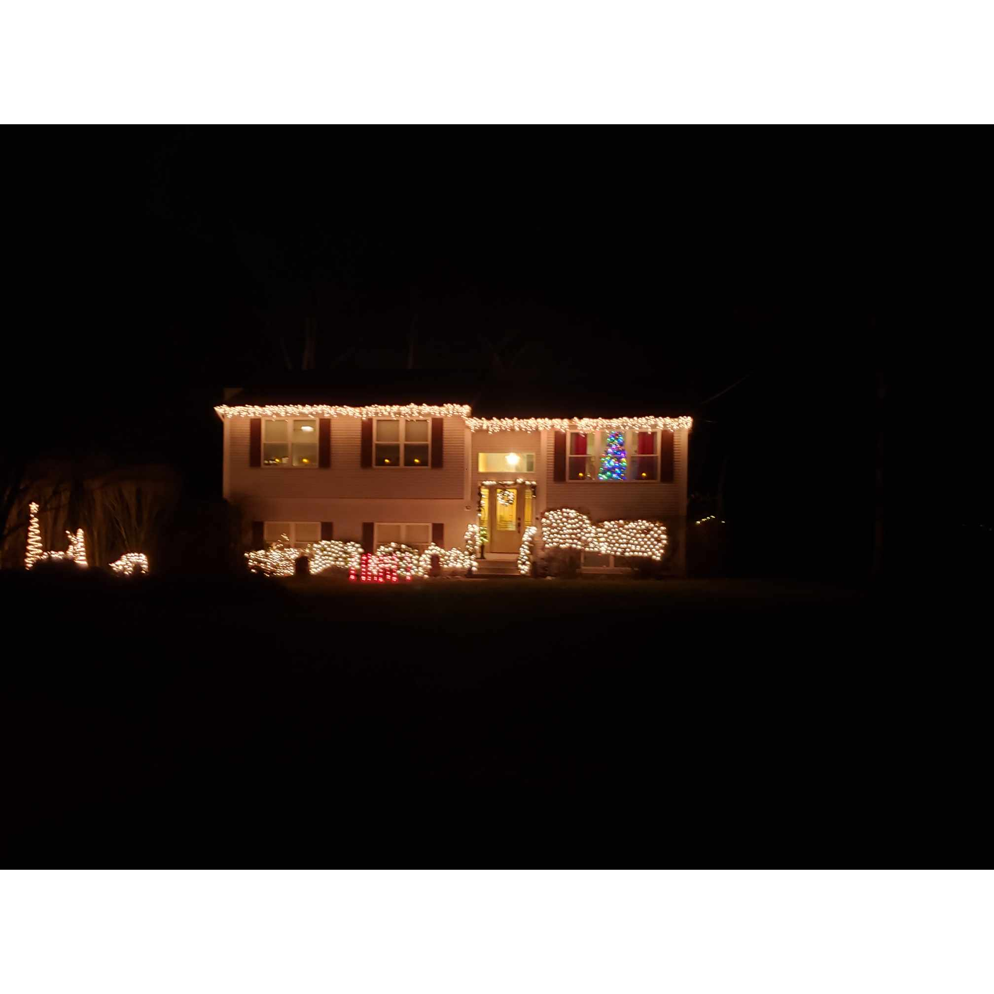 Chapter Three: Moving