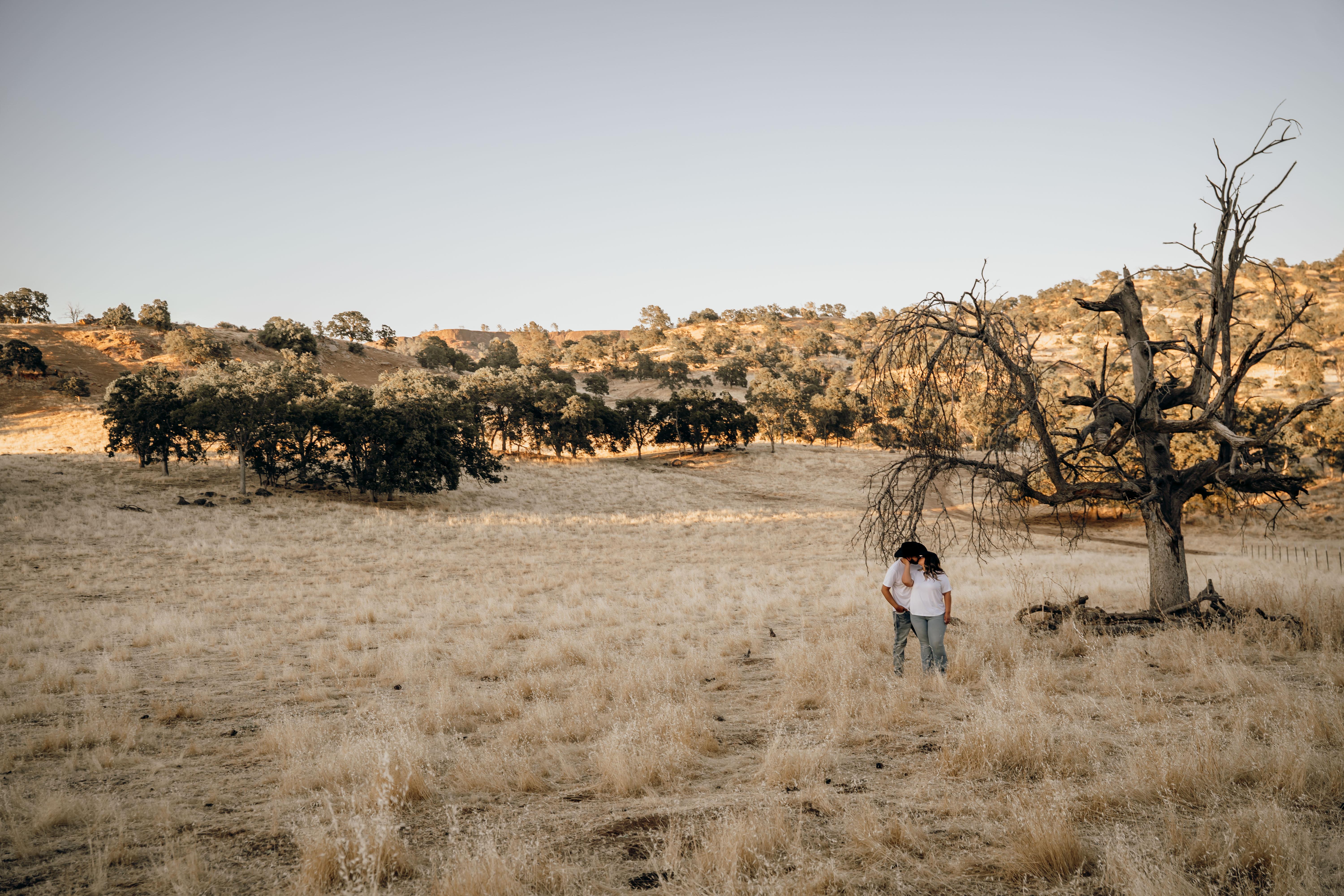 65dc73e4-f865-4b7f-a459-02f083694cfb