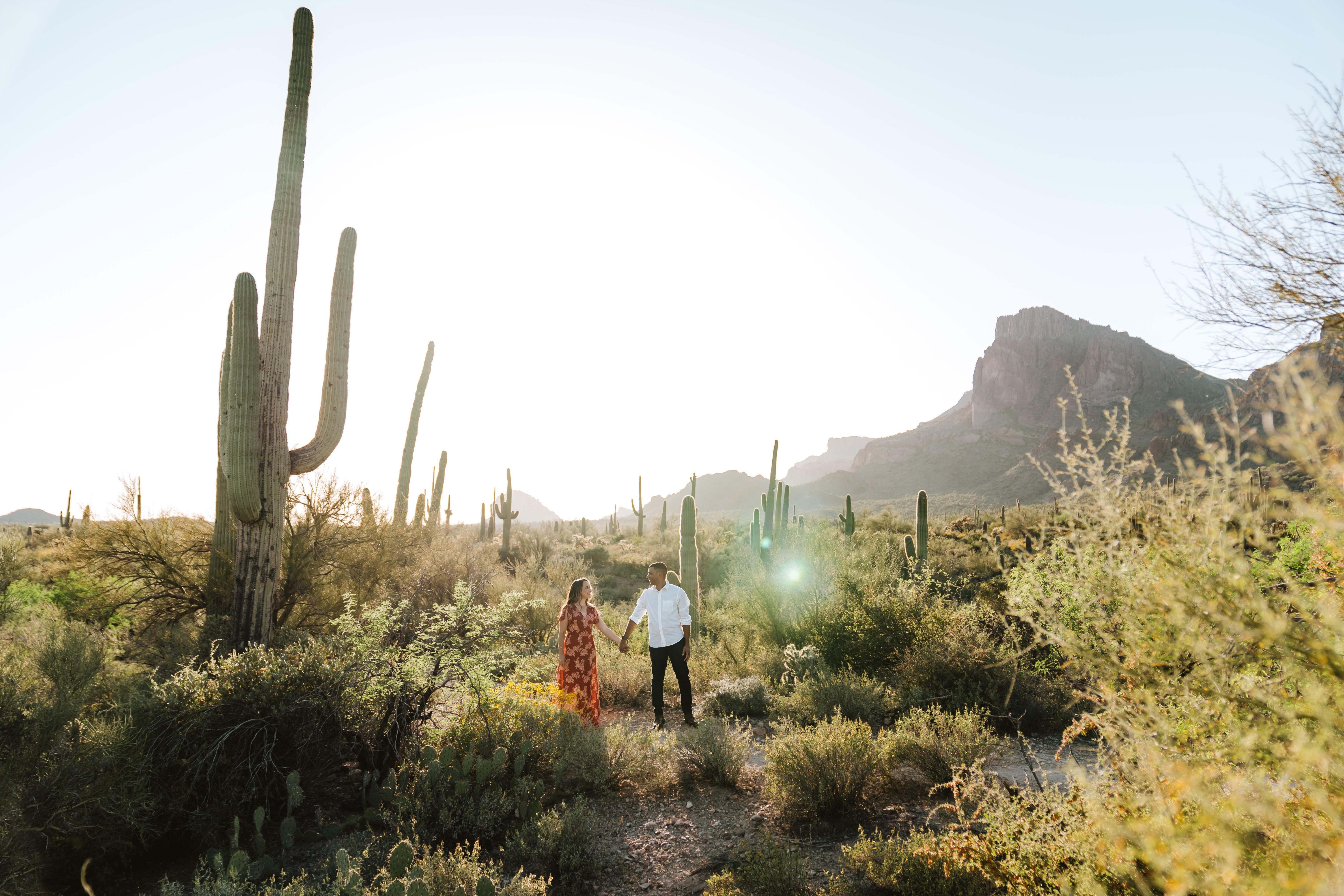 The Wedding Website of Elyssa Metas and Andre Willis