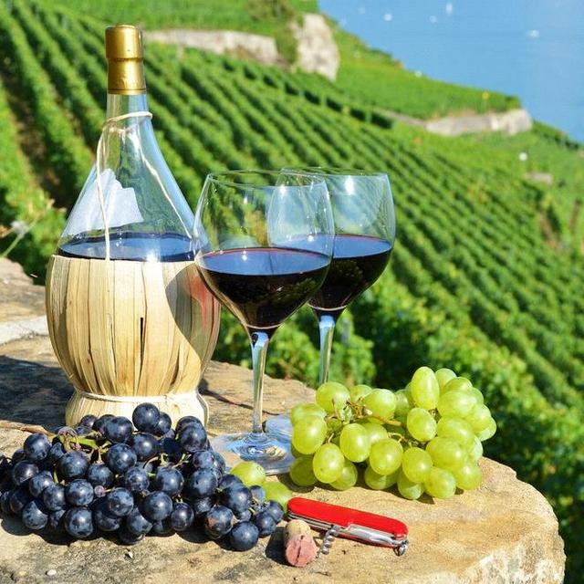 Wine tasting for two in the hills of Tuscany