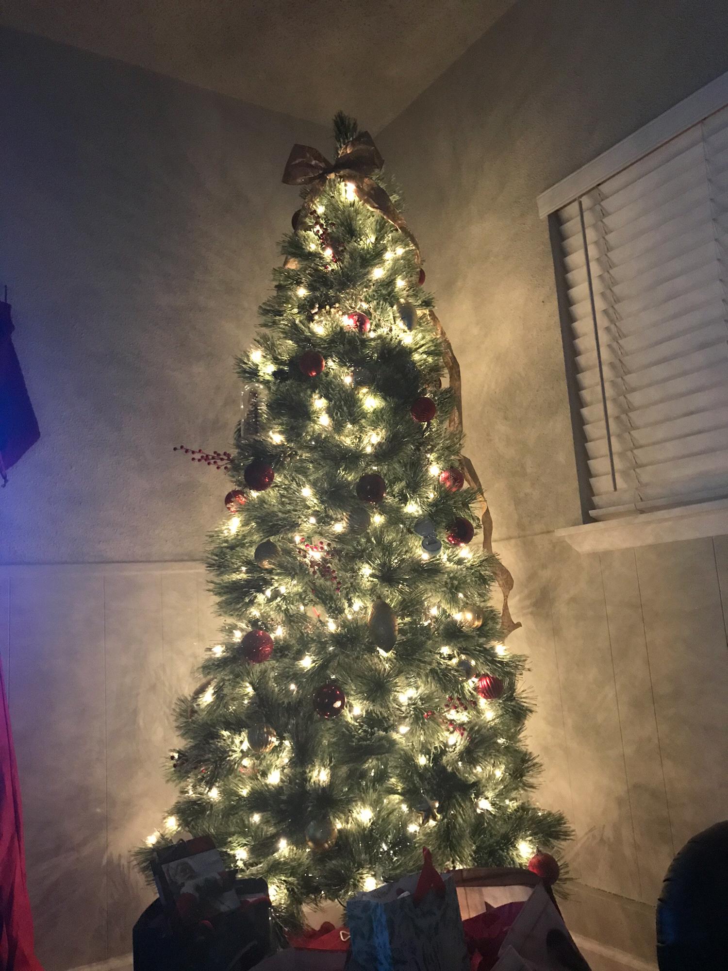 The apartment Tyler rented before we moved in together had zero storage so he ended up leaving the Christmas tree up until July. Here she is in our current home.