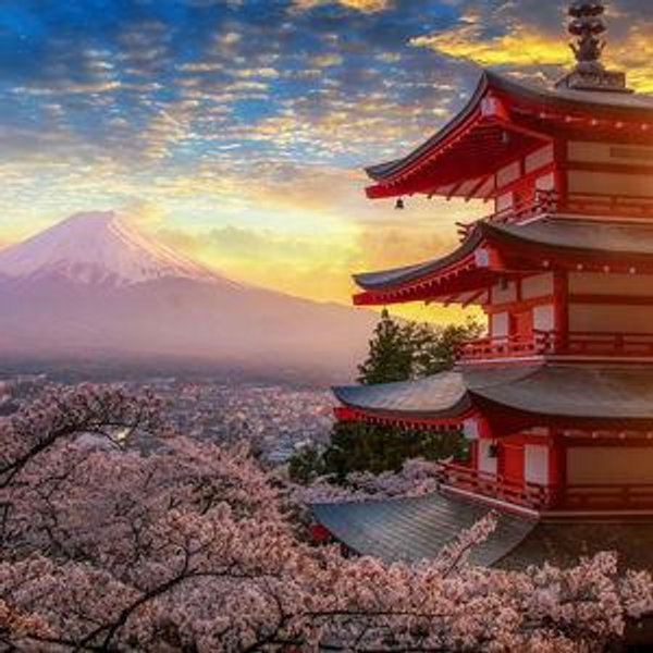 Honeymoon Fund to Japan!