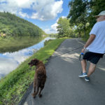 West Hartford Reservoir