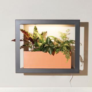Growframe