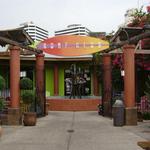Executive Surf Club