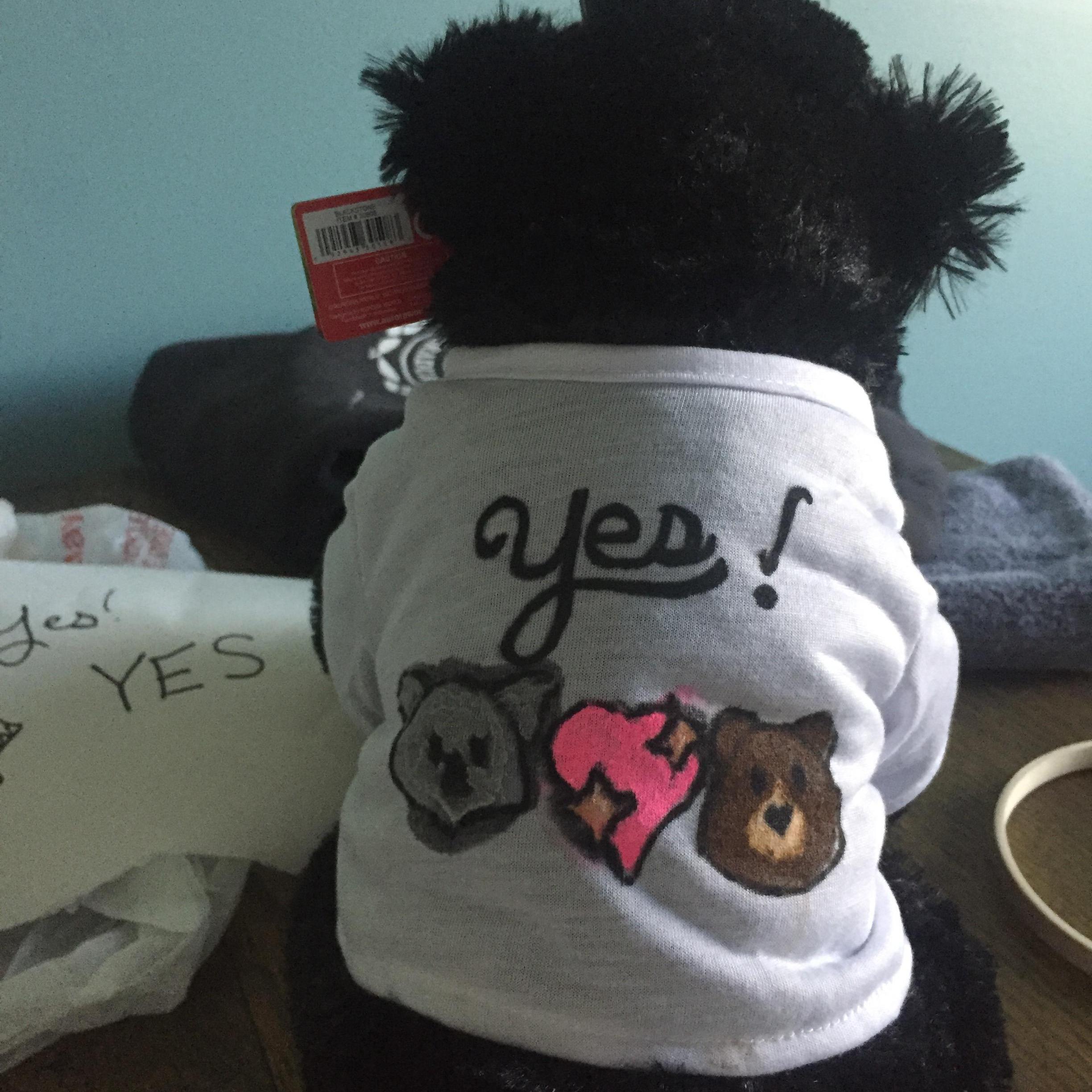 The stuffed bear with a T-shirt that Julia made for Jeff to respond to his proposal.
