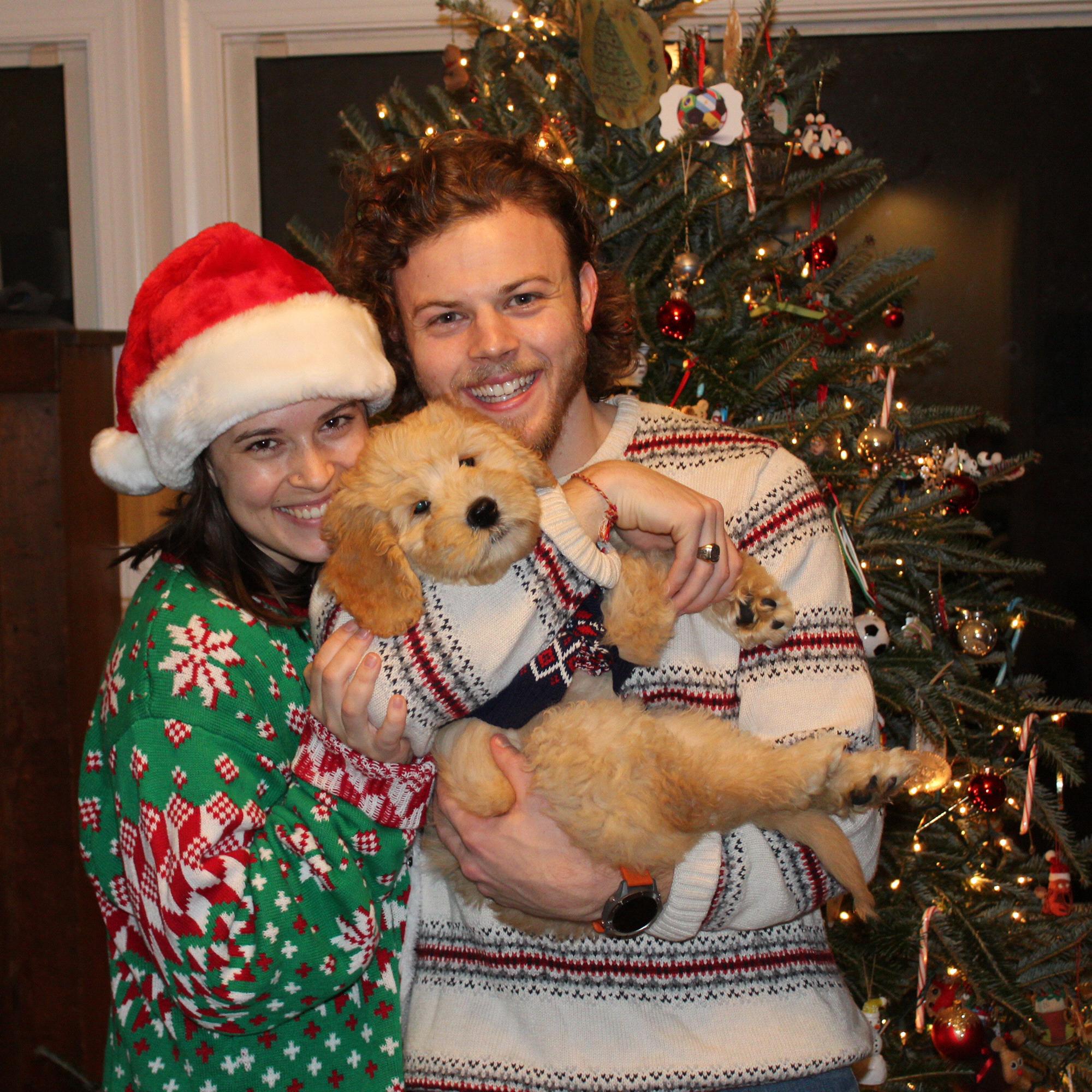 Our little addition in December 2020. Winston (aka Winnie the Bish)