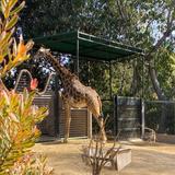 San Diego Zoo