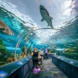 Ripley's Aquarium of Canada