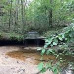 Pickle Springs Natural Area