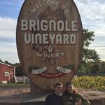 Brignole Vineyards