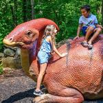 Museum of Life and Science