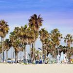 Venice Beach