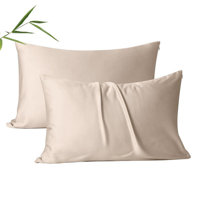 2 Pack Cooling Pillow Cases,Viscose Derived from Bamboo Pillow Protectors Queen Size Set of 2, 400 Thread Count Soft Silky Breathable Summer Pillow Cover with Zipper Hidden (2PCS, Queen, Beige)