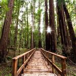Hiking:  All Trails