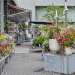 Terrain Gardens