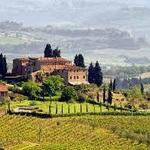 Florence Wine Tours