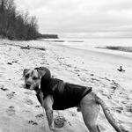 Visit Bradford or Grant Park Beach