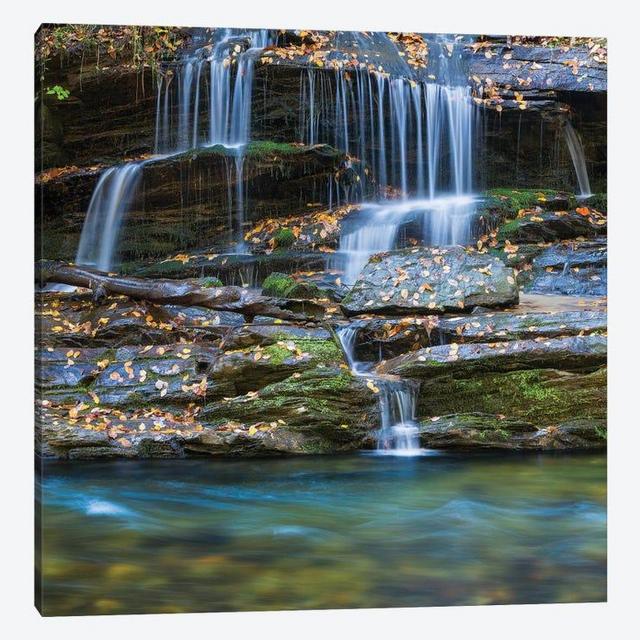 USA, North Carolina, Great Smoky Mountains. Scenic of Tom Branch Falls. - Canvas Print