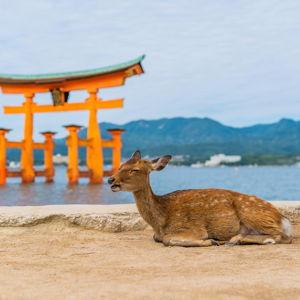 Miyajima (Deer Island)