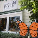 The Key West Butterfly and Nature Conservatory