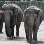 Oregon Zoo