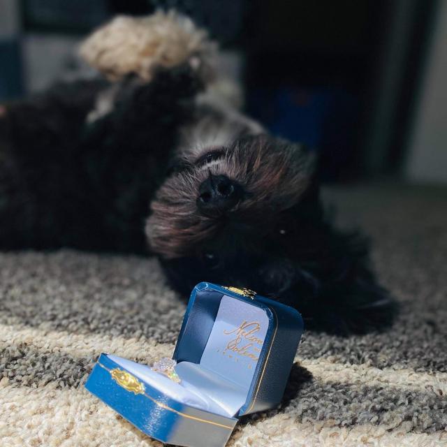 Year's Supply Of Luna Treats