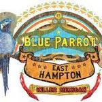 Blue Parrot