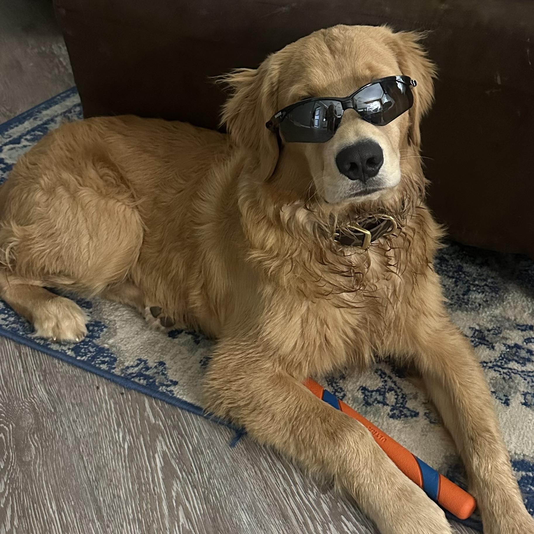 had to include a picture of our cool dude, Goose man!