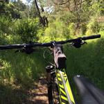 Biking