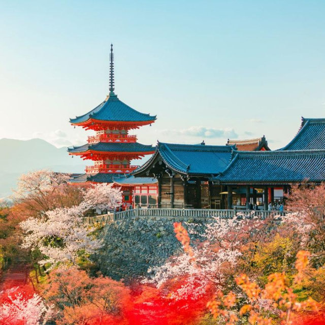 Temple and Shrine Tour