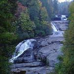 Dupont State Forest