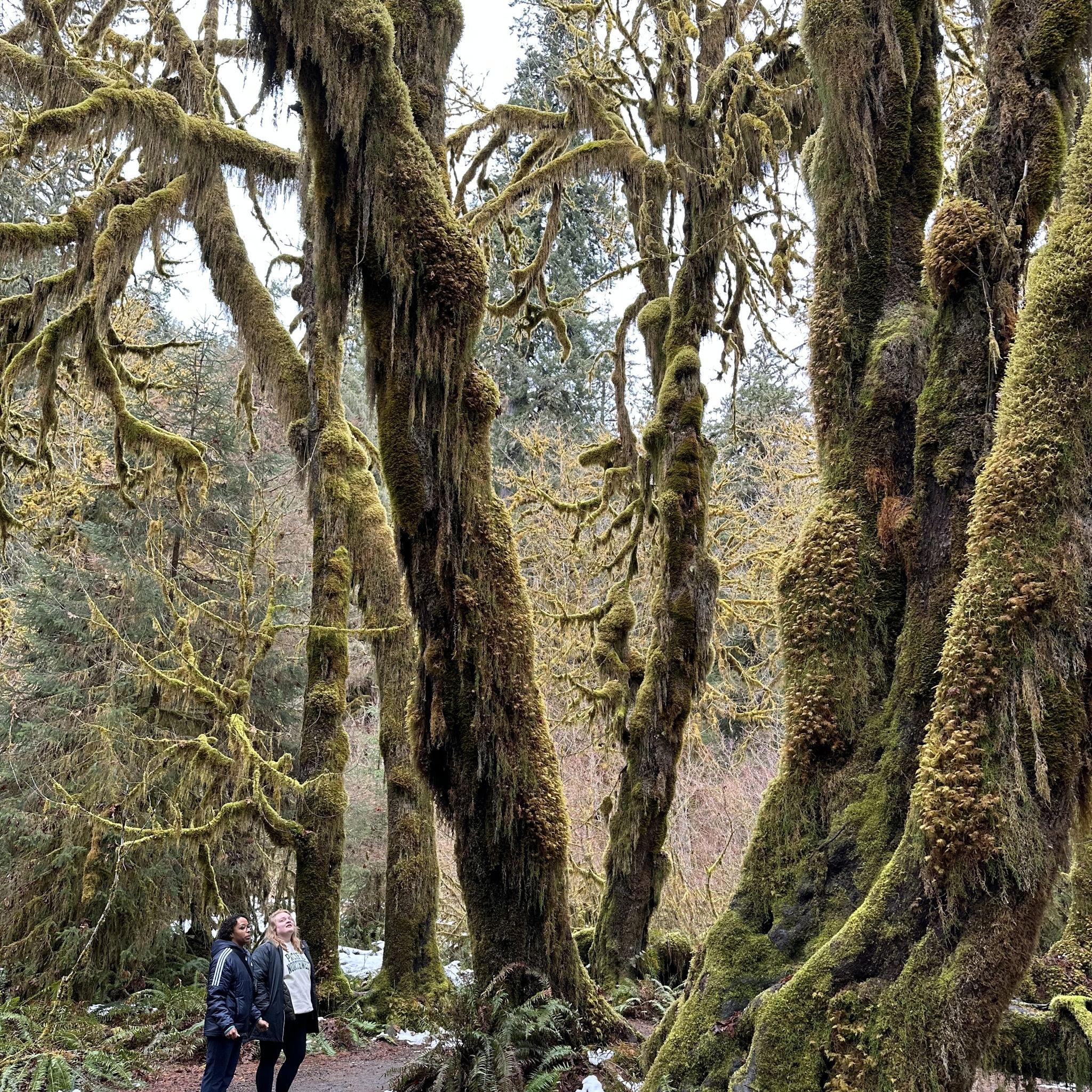 Olympic National Park, Port Angeles, WA