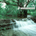 Lockhart State Park
