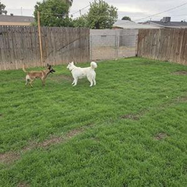 Landscaping
