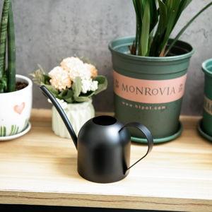 Small Watering Can for Indoor Plants Stainless Steel Watering Can with Long Spout 15oz/450ml, (Black)