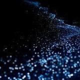 Bahía Bioluminiscente