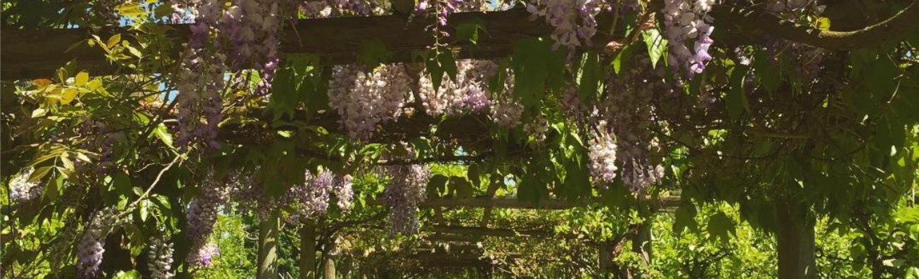 The Wedding Website of Chris H and Charlotte K