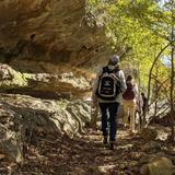 Jacob's Well Natural Area