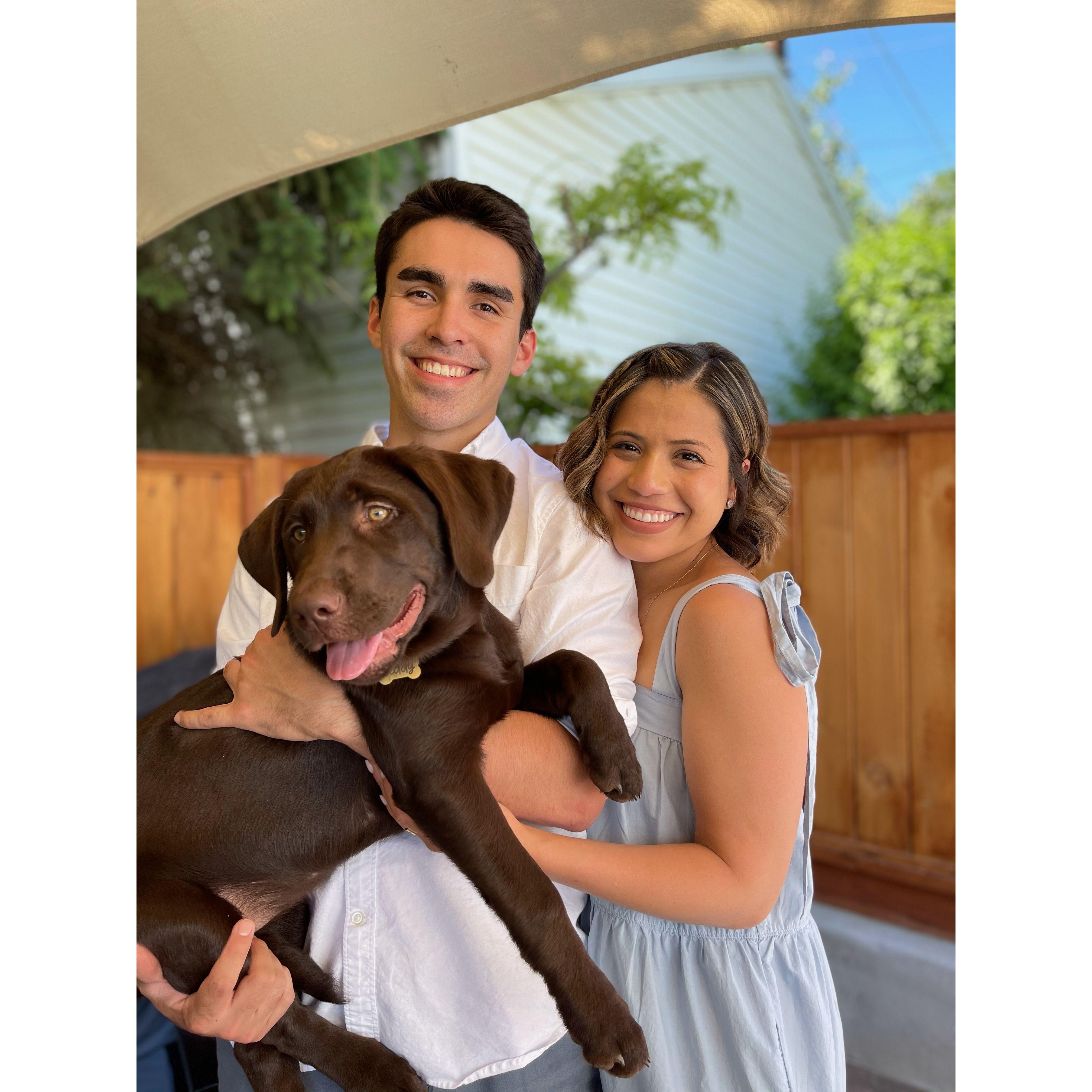 We adopted Teddy! 

(And eventually Bear!)