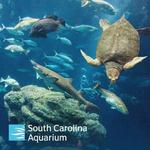 South Carolina Aquarium