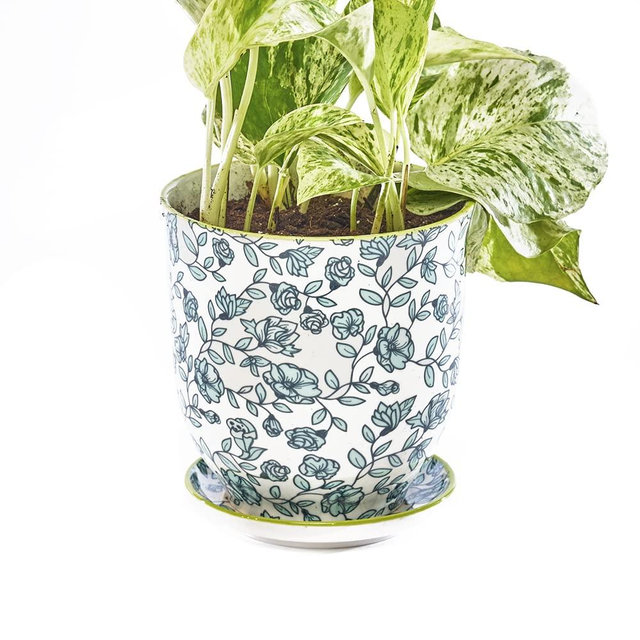 Chive ‘Liberte’ Ceramic Planter Pot — Cute, Beautiful Plant Pots for Indoor & Outdoor Flowers & House Plants — Green Flowers