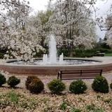 Cantigny Park and 1st Division Museum